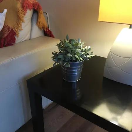 Apartament North Dublin